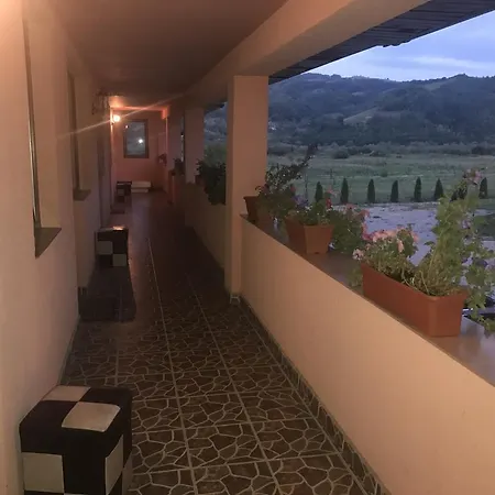 Pensiunea Sasu Pensión
